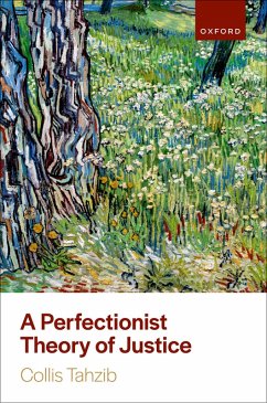 A Perfectionist Theory of Justice (eBook, ePUB) - Tahzib, Collis