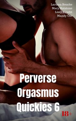 Perverse Orgasmus Quickies 6 (eBook, ePUB) - Bouche, Lariana; Feucht, Lissy; Hotstone, Mary; Öse, Mandy