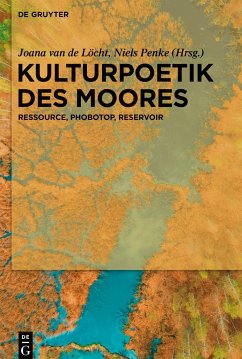 Kulturpoetik des Moores