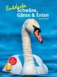 Entdecke Schwäne, Gänse & Enten - Bild 1