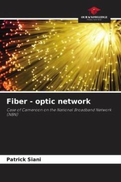 Fiber - optic network - Siani, Patrick