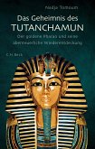 Das Geheimnis des Tutanchamun (eBook, ePUB)
