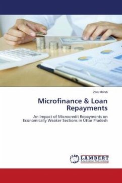 Microfinance & Loan Repayments - Mehdi, Zain
