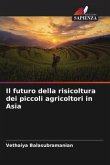 Il futuro della risicoltura dei piccoli agricoltori in Asia
