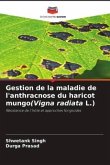 Gestion de la maladie de l'anthracnose du haricot mungo(Vigna radiata L.)
