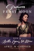 Bitter Eyes No More: a Christian Historical Romance with Native American themes