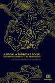 A eficácia jurídica e social do direito fundamental de propriedade (eBook, ePUB)