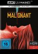 Malignant - Bild 1