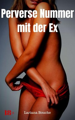 Perverse Nummer mit der Ex (eBook, ePUB) - Bouche, Lariana