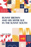 Bunny Brown And His Sister Sue In The Sunny South
