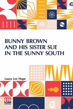 Bunny Brown And His Sister Sue In The Sunny South - Hope, Laura Lee