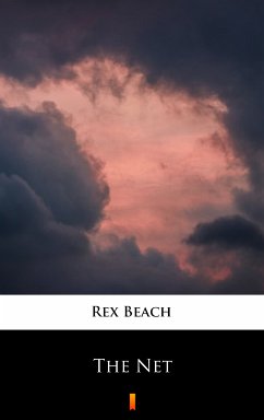 The Net (eBook, ePUB) - Beach, Rex