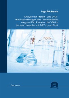 Analyse der Protein- und DNA- Wechselwirkungen des Caenorhabditis elegans POU Proteins UNC-86 im ternären Komplex mit ME - Röckelein, Inge