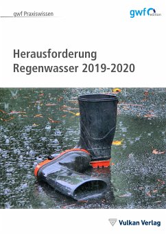 Herausforderung Regenwasser (eBook, PDF)