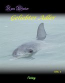 Geliebter Adler (eBook, ePUB)
