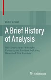 A Brief History of Analysis (eBook, PDF)