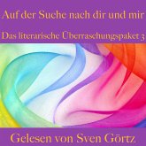 Das literarische Überraschungspaket 3: Auf der Suche nach dir und mir (MP3-Download)