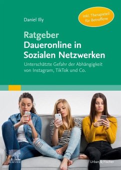 Ratgeber Daueronline in Sozialen Netzwerken - Illy, Daniel
