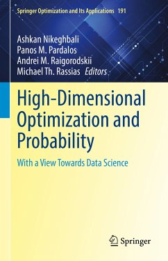 High-Dimensional Optimization and Probability (eBook, PDF)