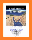 From Slavery to Freedom (eBook, ePUB)