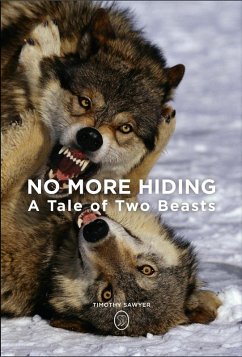 Cover No More Hiding (eBook, ePUB)