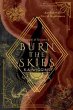 Burn the Skies (eBook, ePUB) - Bild 1