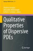 Qualitative Properties of Dispersive PDEs