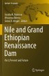 Nile and Grand Ethiopian Renaissance Dam - Bild 1