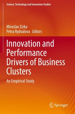 Innovation and Performance Drivers of Business Clusters