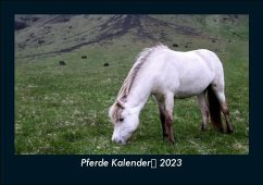 Pferde Kalender 2023 Fotokalender DIN A5 - Tobias Becker