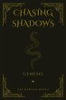 Chasing Shadows (eBook, ePUB) - Bild 1
