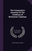 The Comparative Anatomy Of The Cerebrum Of Notoryctes Typhlops