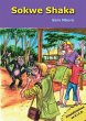 Sokwe Shaka - Bild 1