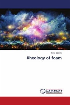 Rheology of foam - Stanciu, Ioana
