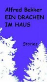 Ein Drachen im Haus (eBook, ePUB)