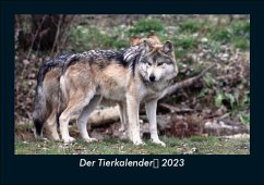 Der Tierkalender 2023 Fotokalender DIN A5 - Tobias Becker