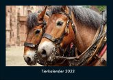 Tierkalender 2023 Fotokalender DIN A4