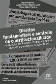 Direitos fundamentais e controle de constitucionalidade (eBook, ePUB)