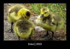 Enten 2023 Fotokalender DIN A3 - Tobias Becker