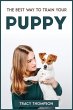 THE BEST WAY TO TRAIN YOUR PUPPY - Bild 1