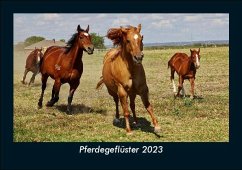 Pferdegeflüster 2023 Fotokalender DIN A5 - Tobias Becker