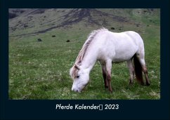 Pferde Kalender 2023 Fotokalender DIN A4 - Tobias Becker