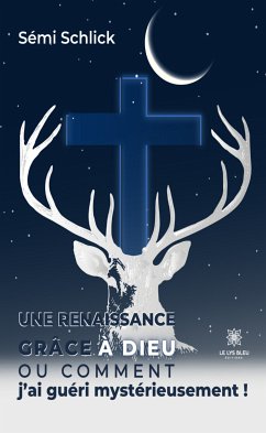 Une renaissance grâce à Dieu (eBook, ePUB) - Schlick, Sémi