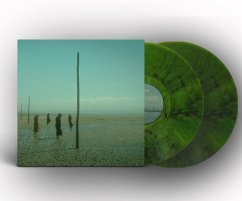 In All Her Forms (Green/Black Marbled Col.2lp) - Devil'S Witches