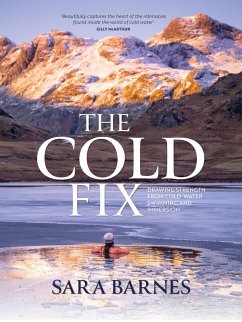 The Cold Fix (eBook, ePUB) - Barnes, Sara