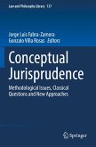 Conceptual Jurisprudence