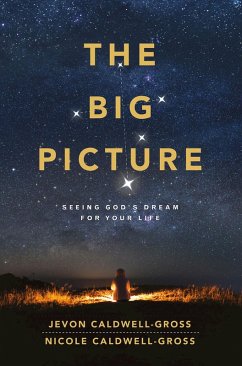 The Big Picture (eBook, ePUB)