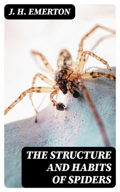 The Structure and Habits of Spiders (eBook, ePUB) - Emerton, J. H.