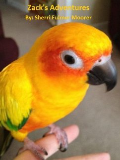 Cover Zack's Adventures (eBook, ePUB)