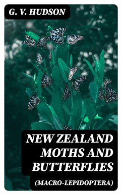 New Zealand Moths and Butterflies (Macro-Lepidoptera) (eBook, ePUB) - Hudson, G. V.